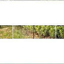 【綬實】井川三天出貨汽車摩托車發動機氣缸壓力表汽缸壓力表檢測試儀維修工具燃油壓力     最 歷史價格詳細信息