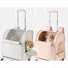 額達可double德博加振拾音器打板g0民謠木吉他同頻加震 歷史價格詳細信息