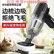 車載吸塵器車用充電汽車家用大吸力功率強力小型手持迷你便攜 歷史價格詳細信息