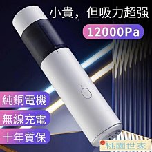 吸塵器車載超強大吸力汽車無線吸塵器新品便攜式家用車用吸塵器車用吸塵器 車載吸塵器 手持式吸塵器 歷史價格詳細信息