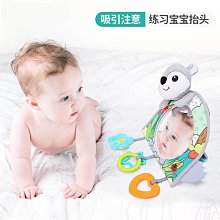 寶寶後照鏡(寶寶觀察鏡 嬰兒後照鏡 寶寶鏡子 寶寶後視鏡 車內後視鏡 安全座椅鏡子 汽座後照鏡) 歷史價格詳細信息