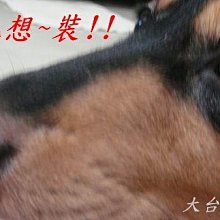 s%新中式大理石客廳花架子落地式裝飾電視櫃旁擺件架角邊幾室內簡 歷史價格詳細信息