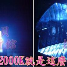 【CIAO】近海罐 80g*6罐 + 化毛粉30g*1瓶 三種規格可挑選 歷史價格詳細信息