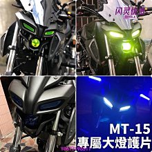 YAMAHA MT-15 2018 2019 不鏽鋼水箱護網-極限超快感 歷史價格詳細信息