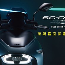 gogoro 2s 專用 後靠背 扶手 專用後靠背 機車 安全 EC05 GOGORO 2 EC-05 哈家人 歷史價格詳細信息
