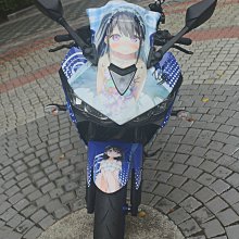 【擎天國際】山葉 YAMAHA 競戰四代 友希娜 痛車 彩貼 拉花 車身裝飾 車貼 貼紙 客製 動漫 汽車包膜 歷史價格詳細信息