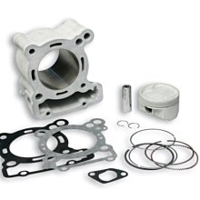 義大利 MALOSSI 後面碟盤【APRILIA SR MAX300 專用】新品現貨 歷史價格詳細信息