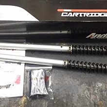 義大利 Andreani Group 競技前叉強化套件 【SUZUKI AN650  專用】全新款 歷史價格詳細信息