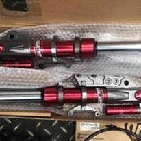 欣輪車業 GJMS 智杰 FF2+ 前避震器+長奶瓶 雷霆S 裝8200元 客制化 歷史價格詳細信息