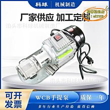 手提齒輪泵微型卸柴油液壓機油220v小型不鏽鋼wcb電動抽油泵 歷史價格詳細信息
