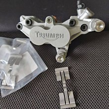 汐歌兒新款連體泳衣女荷葉邊性感露背溫泉泳裝裙式遮肚顯瘦泳衣女 歷史價格詳細信息