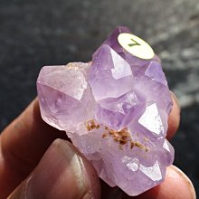 -~shirley ~手握式~練氣佳~馬島三輪紫髮骨幹水晶~0.0179公斤~低價起標!!不錯喔! 歷史價格詳細信息