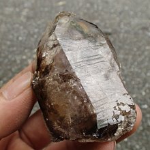 手工 玻璃 魚 完整  . 橫長31 橫高約17 . 可橫放 . 台中 實體店面 Under Object 古道具 歷史價格詳細信息