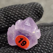 9～19型高壓離心風機 高壓離心式通風機 輕質輸送物料高壓風機 歷史價格詳細信息