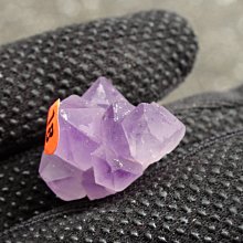 -~shirley ~手握式~練氣佳~馬島三輪紫髮骨幹水晶~0.0179公斤~低價起標!!不錯喔! 歷史價格詳細信息