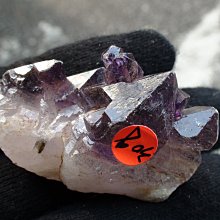 ~shalin-crystal~手握~練氣~巴西亮皮三輪紫骨幹水晶~28公克~帶髮絲~開智慧~能量超強!低價起標! 歷史價格詳細信息