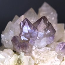 完整98 Internet Intranet 上線實務 陳會安 文魁 歷史價格詳細信息