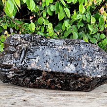 鱷魔DVD，Crawl，卡雅斯考達里歐＆巴里佩珀，台灣正版全新 歷史價格詳細信息