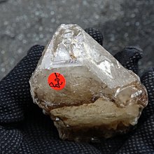 【超魚】低水位多功能過濾器 二層/三層/四層 兩棲 爬蟲 角蛙 烏龜 半水景 魚缸造景 毛貓寵 歷史價格詳細信息