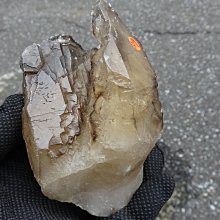 【超魚】低水位多功能過濾器 二層/三層/四層 兩棲 爬蟲 角蛙 烏龜 半水景 魚缸造景 毛貓寵 歷史價格詳細信息