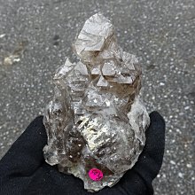 【超魚】低水位多功能過濾器 二層/三層/四層 兩棲 爬蟲 角蛙 烏龜 半水景 魚缸造景 毛貓寵 歷史價格詳細信息