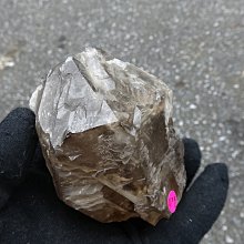 手工 玻璃 魚 完整  . 橫長31 橫高約17 . 可橫放 . 台中 實體店面 Under Object 古道具 歷史價格詳細信息