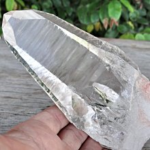 【亞尼克-夢想村派塔】迷彩歡樂派 歷史價格詳細信息