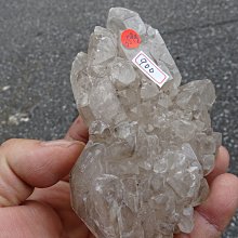 【超魚】低水位多功能過濾器 二層/三層/四層 兩棲 爬蟲 角蛙 烏龜 半水景 魚缸造景 毛貓寵 歷史價格詳細信息