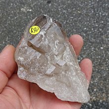 【超魚】低水位多功能過濾器 二層/三層/四層 兩棲 爬蟲 角蛙 烏龜 半水景 魚缸造景 毛貓寵 歷史價格詳細信息