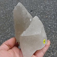 ~shalin-crystal~手握式~西瓜碧璽骨幹水晶~2.139公斤~能量優質~國際上的高價商品~這裡一元起標! 歷史價格詳細信息