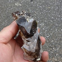 【超魚】低水位多功能過濾器 二層/三層/四層 兩棲 爬蟲 角蛙 烏龜 半水景 魚缸造景 毛貓寵 歷史價格詳細信息