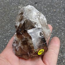 ~shalin-crystal~手握式~超完整優質巴西鱷魚骨幹水晶~146公克~含雲母~能量優質~一元起標! 歷史價格詳細信息