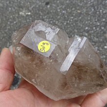 ~shalin-crystal~手握式~西瓜碧璽骨幹水晶~2.139公斤~能量優質~國際上的高價商品~這裡一元起標! 歷史價格詳細信息