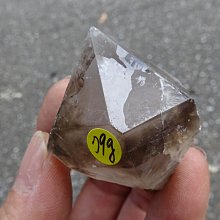 【超魚】低水位多功能過濾器 二層/三層/四層 兩棲 爬蟲 角蛙 烏龜 半水景 魚缸造景 毛貓寵 歷史價格詳細信息