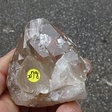 【超魚】低水位多功能過濾器 二層/三層/四層 兩棲 爬蟲 角蛙 烏龜 半水景 魚缸造景 毛貓寵 歷史價格詳細信息