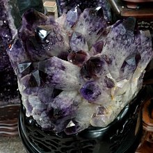 紫龍專業理髲剪刀無痕牙剪打薄瀏海平剪美髮套裝家用工具碎髮修發 歷史價格詳細信息