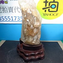 可議價)骨力勁® SILVER 骨骼專用營養品 (成犬貓用) 30錠 新包裝 歷史價格詳細信息