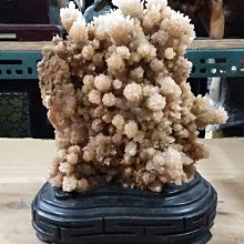 【旺旺】旺事發財-黃金米果50g (20盒/箱) 歷史價格詳細信息