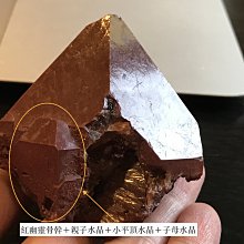 骨力自癒逆轉密碼：鬆開筋膜‧遠離疼痛‧強健骨骼‧提升肌力‧改善免疫 歷史價格詳細信息