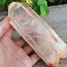 508【晶玉石】珍藏和闐白玉媲美羊脂白玉精雕秋蟬（一鳴驚人）項鍊墜子吊飾~籽料水料~料質圓潤水頭飽滿~140一元起標 歷史價格詳細信息