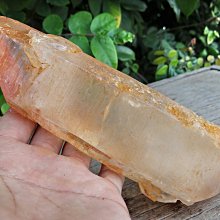 【火炬】高亮度12+4LED多功能露營燈手電筒 歷史價格詳細信息