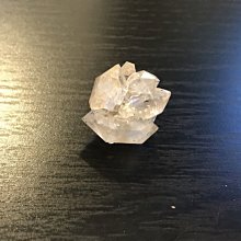 【群聚壹堂！西頓學園】DVD彩色光盤 歷史價格詳細信息