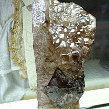 ~shalin-crystal~巴西鱷魚骨幹水晶~3.75公斤~完整度高~生長力旺盛背面長出很多小骨幹~低價起標! 歷史價格詳細信息