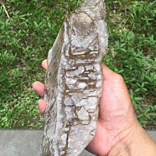 情話水晶～珍藏巴西天然鳳梨紫晶簇原礦（11）（出清不議價） 歷史價格詳細信息