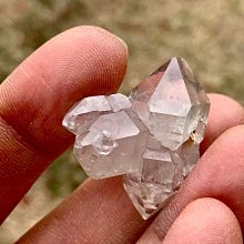 小骨幹 七面通訊 板機水晶 橋樑水晶 大師水晶 晶中晶 內在小孩 編號T1321 歷史價格詳細信息