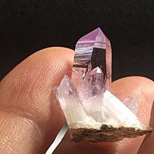 特價 墨西哥鷹洋1874年XF98301 歷史價格詳細信息