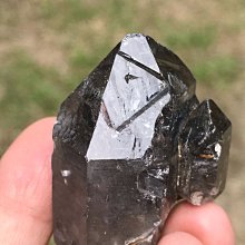 海豚滿印 透氣網眼 大帽沿 防曬遮陽帽 附防風繩 盆帽 漁夫帽 遮陽帽 童帽【p0061210786295】 歷史價格詳細信息