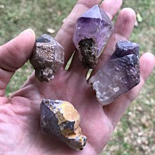 小骨幹 七面通訊 板機水晶 橋樑水晶 大師水晶 晶中晶 內在小孩 編號T1321 歷史價格詳細信息