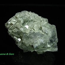 ~湖南 奉家渠江薄片 經典紅罐 黑茶之袓 百年世博中國茶金駱駝獎  24片/3罐/禮盒 附紅色手提袋~ 歷史價格詳細信息