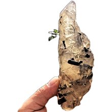 天然石-黑金骨幹/黑太陽石戒(純銀) 歷史價格詳細信息